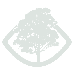 Arbor Oculus